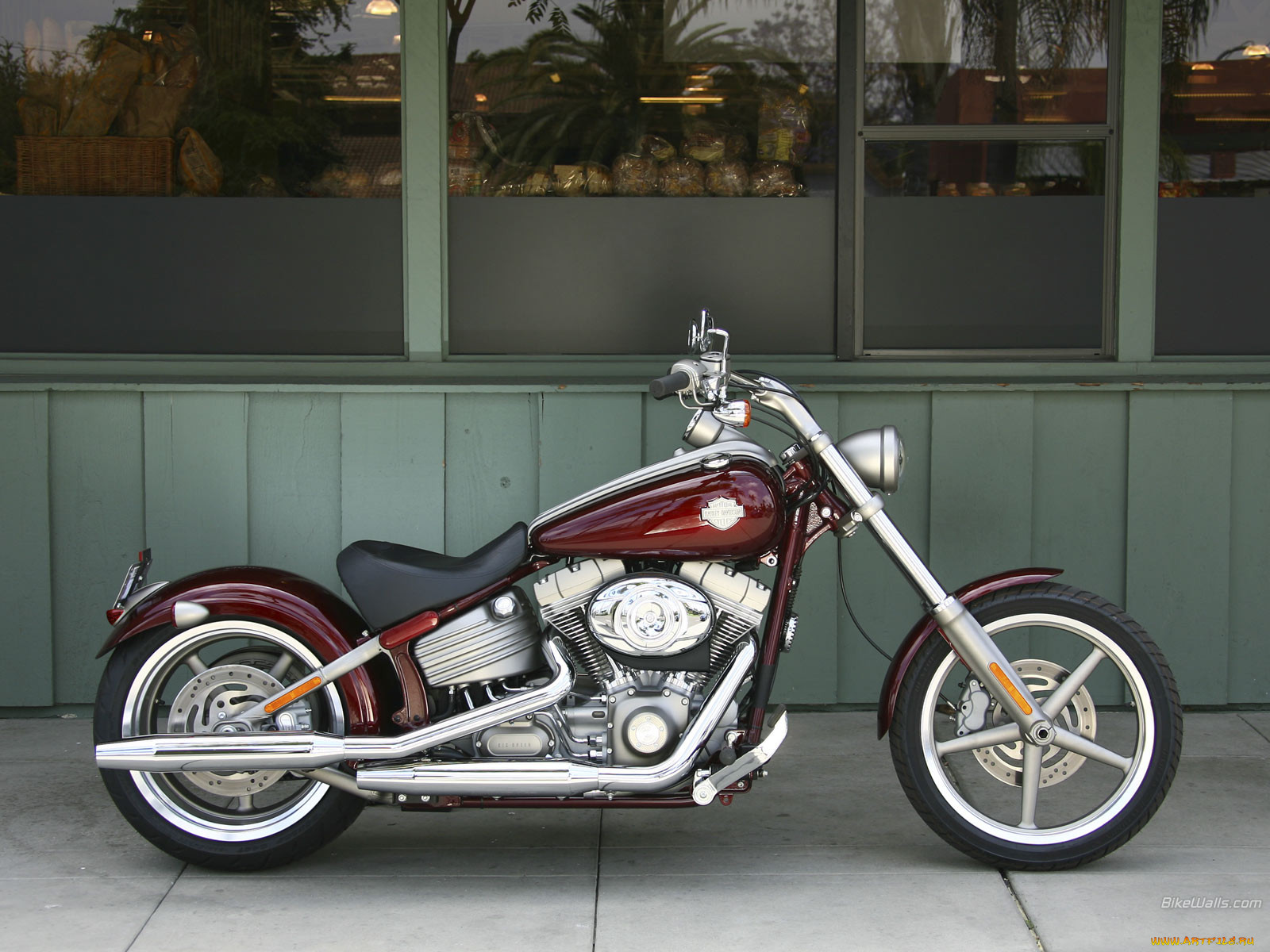 harleydavidson, softail, fxcw, , harley, davidson